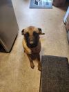 Bella photo 3