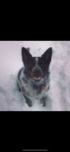 Frankie photo 3
