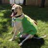 Bruiser photo 4