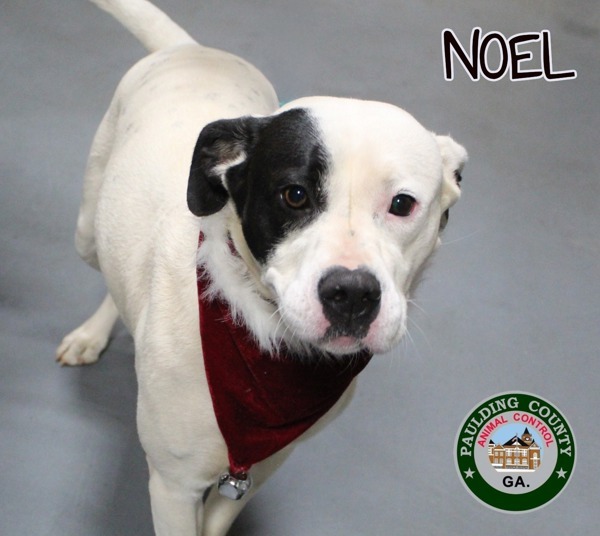 24-12-3974 Noel