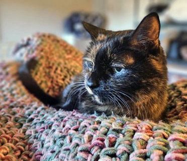 Peepers (in foster) 3