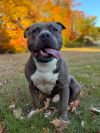 Mack photo 1