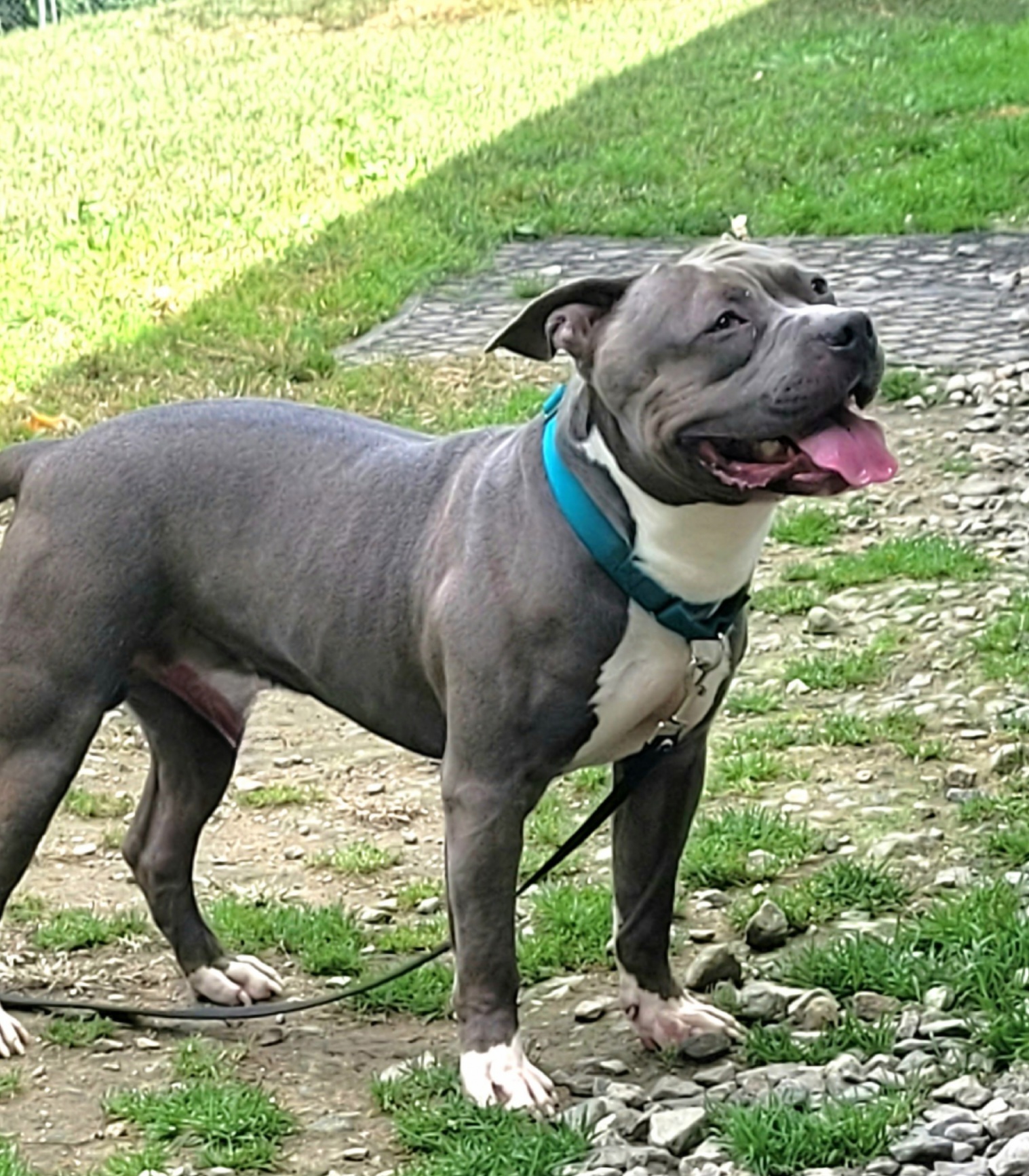 Mack