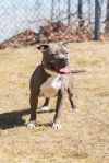 Mack photo 6