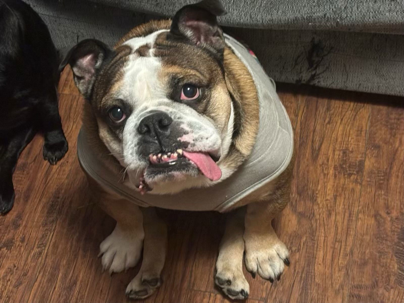 Tank