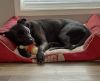 Donut Duncan photo 3
