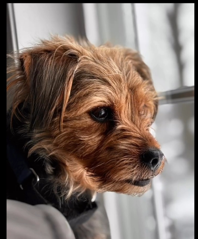 George