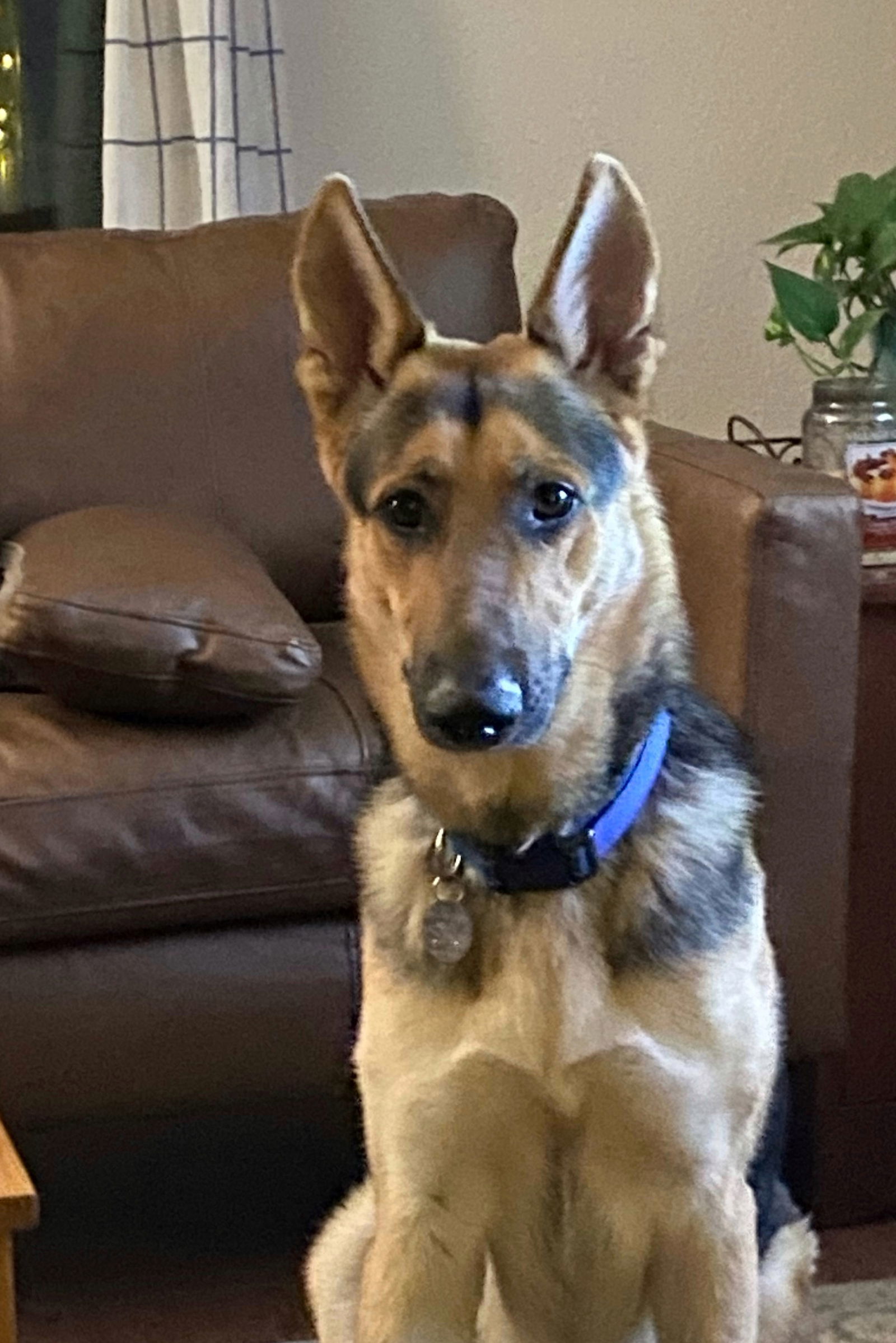 Ernie