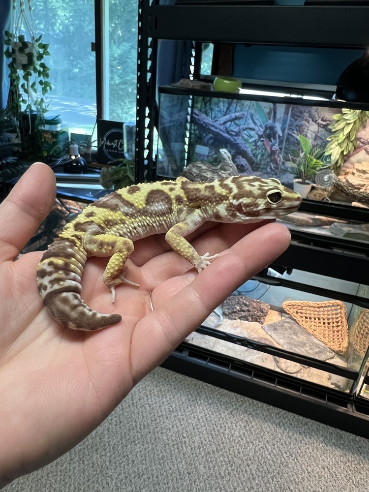 Gary