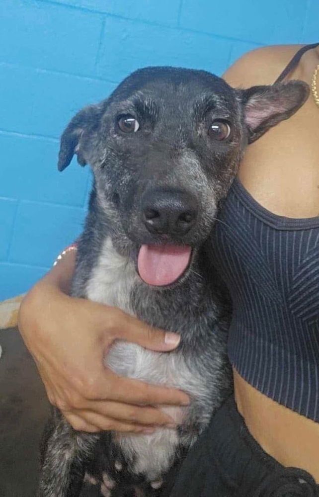 Betty2 (TX)