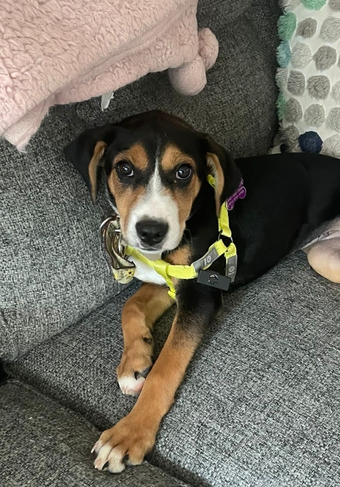 Edna