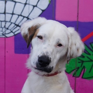 Paddington thumbnail 2