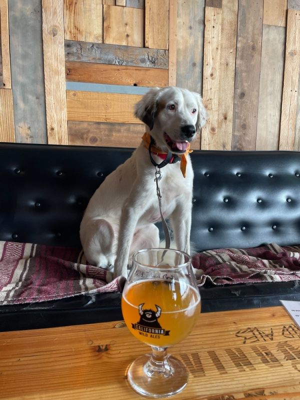 Paddington thumbnail 3