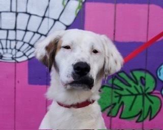 Paddington thumbnail 4