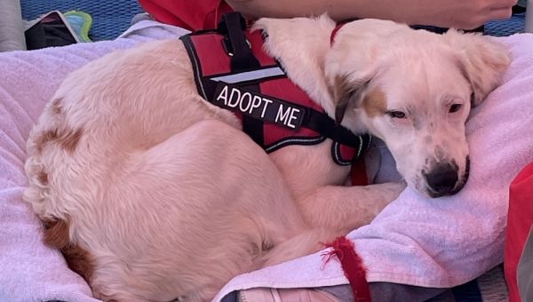 Paddington thumbnail 5