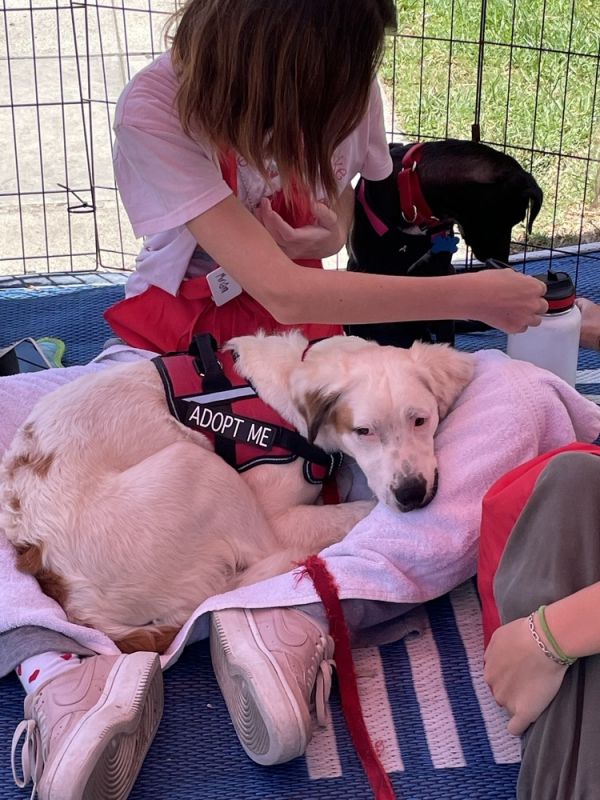 Paddington thumbnail 6