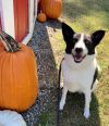 Eliza photo 6