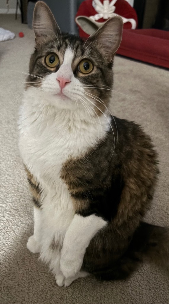 Elena