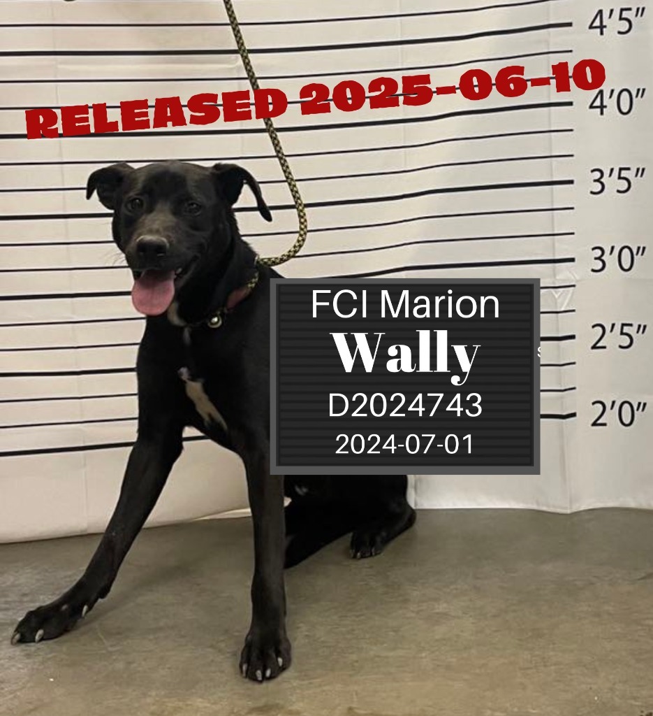 Wally