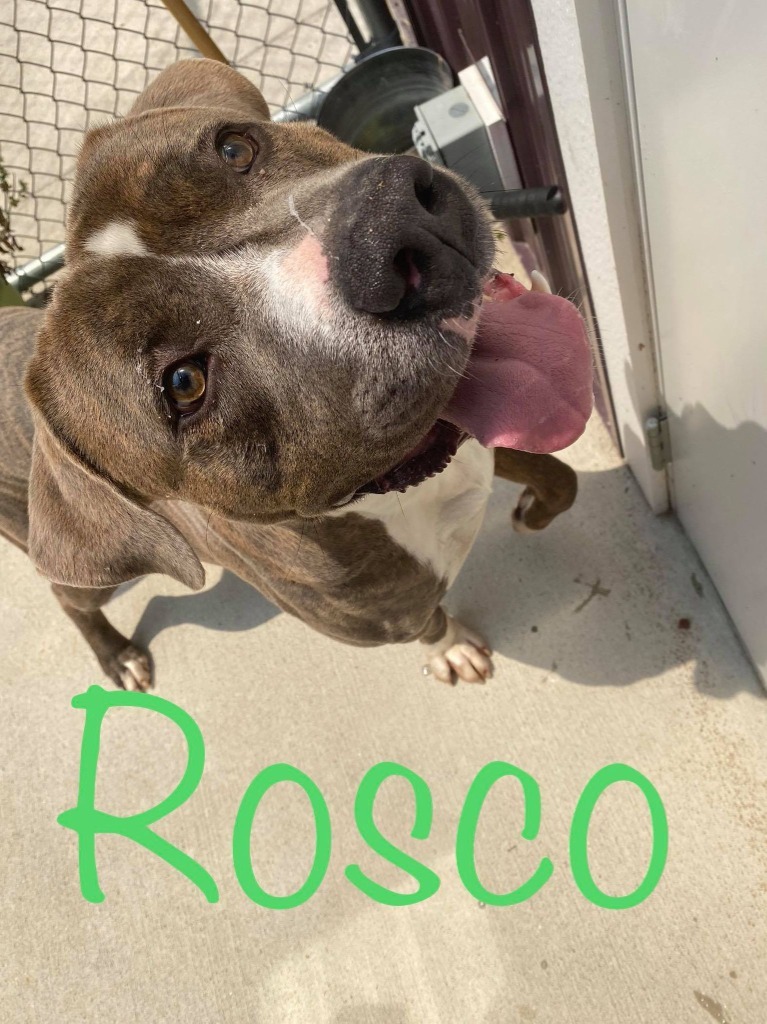 Rosco