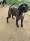 Nigel photo 6