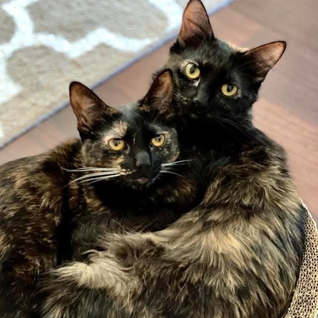 (Sisters) Ruth & Alice