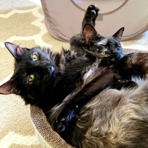 (Sisters) Ruth & Alice