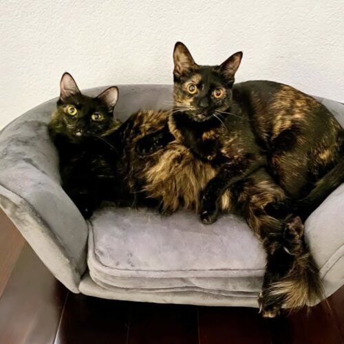(Sisters) Ruth & Alice