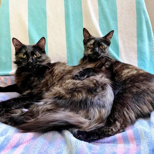 (Sisters) Ruth & Alice