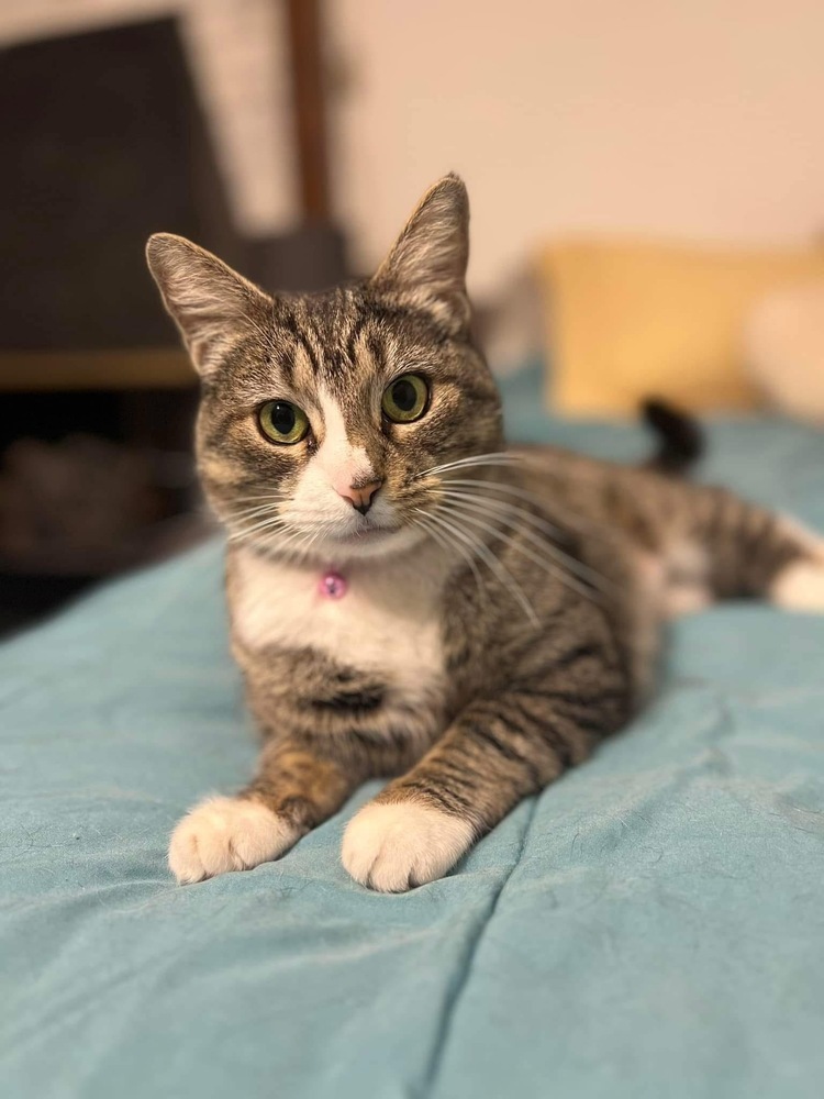 Bianca