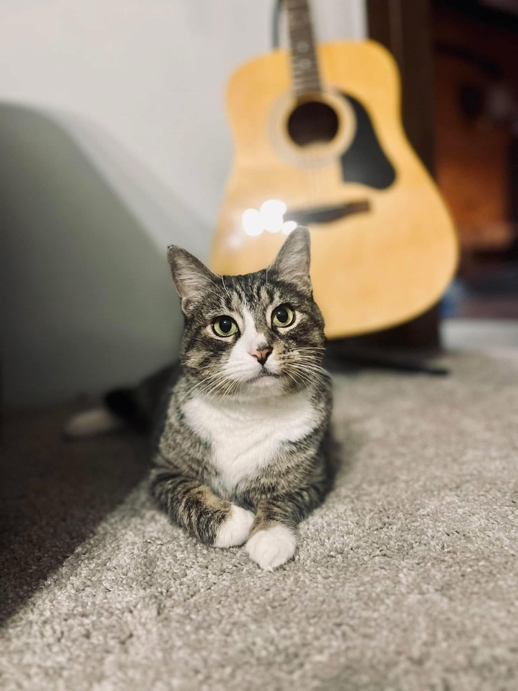 Bianca