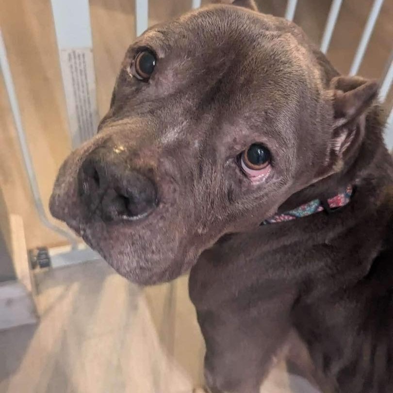 Tyson