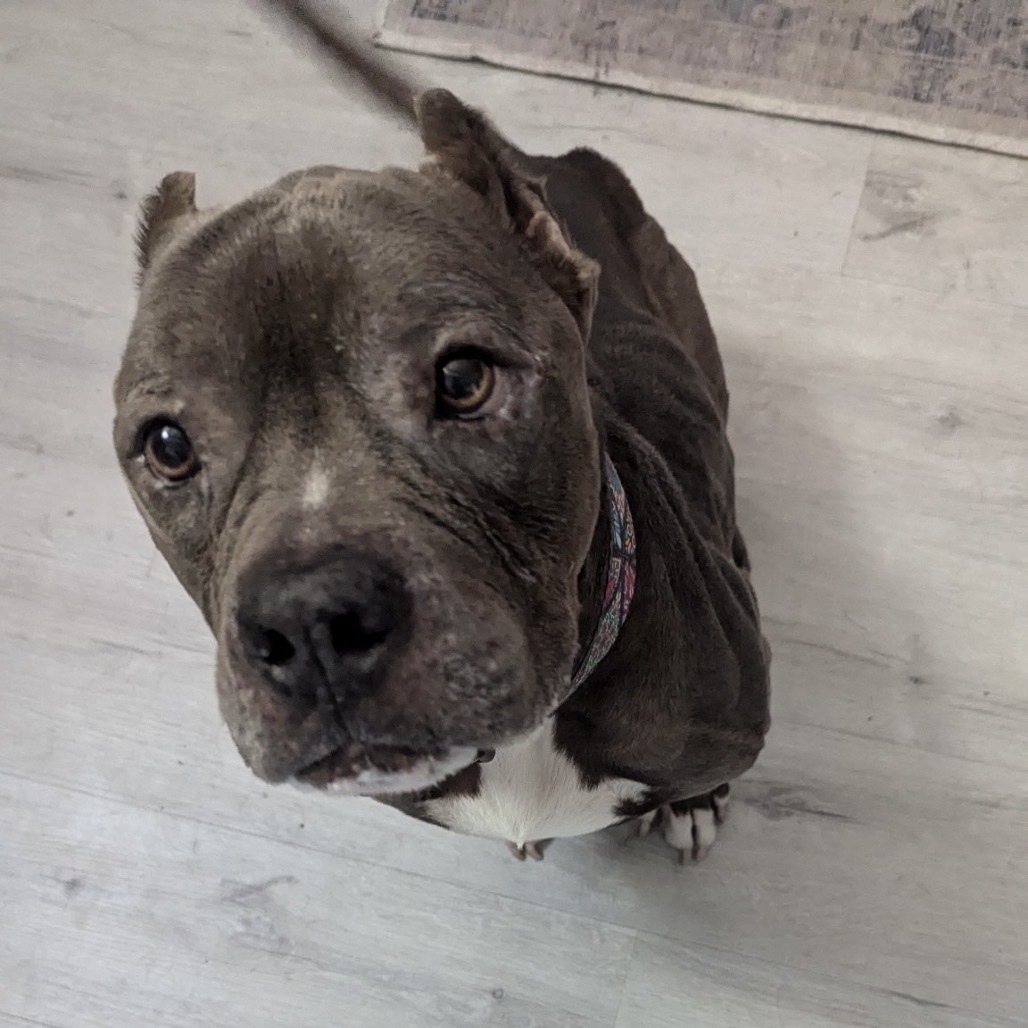 Tyson