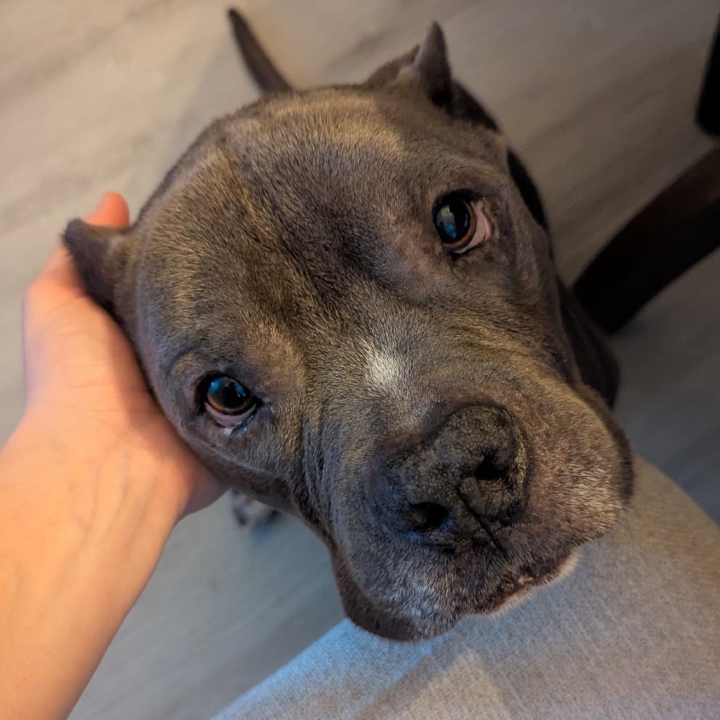 Tyson
