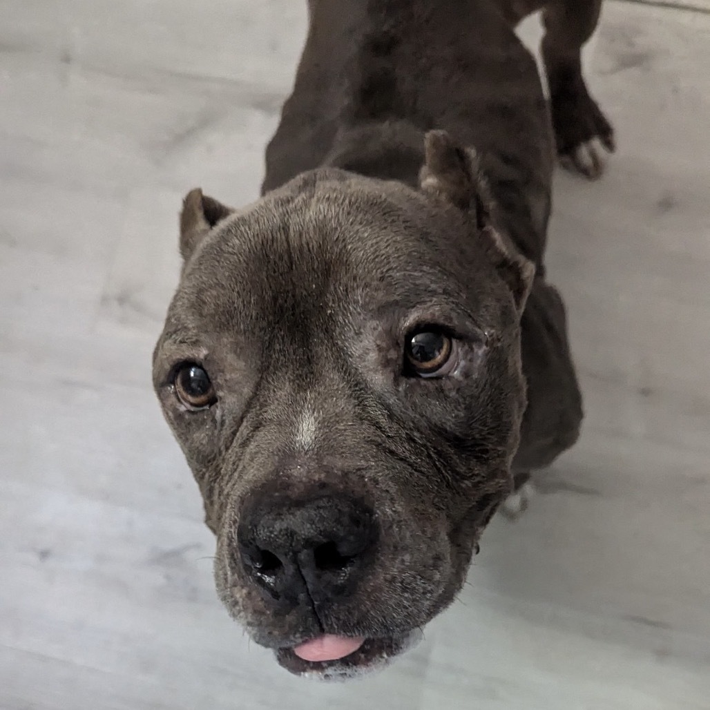 Tyson