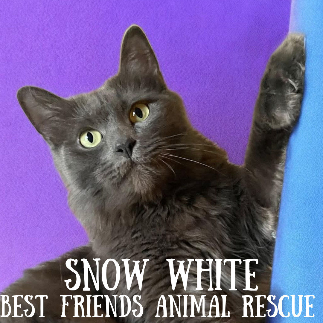 Snow White
