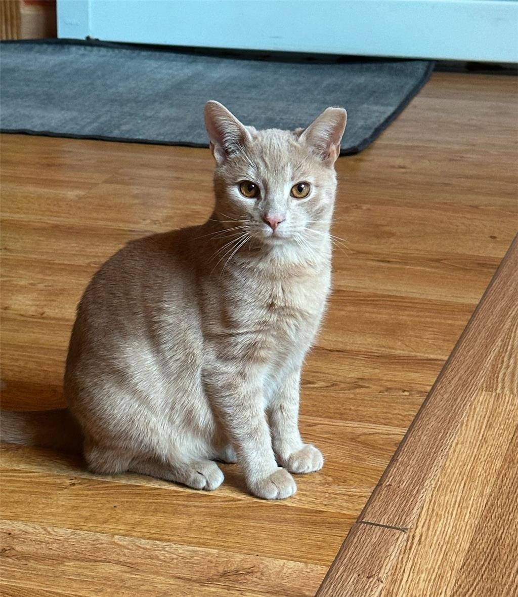 Jerry