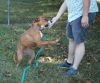 Sandy-Sponsored photo 5