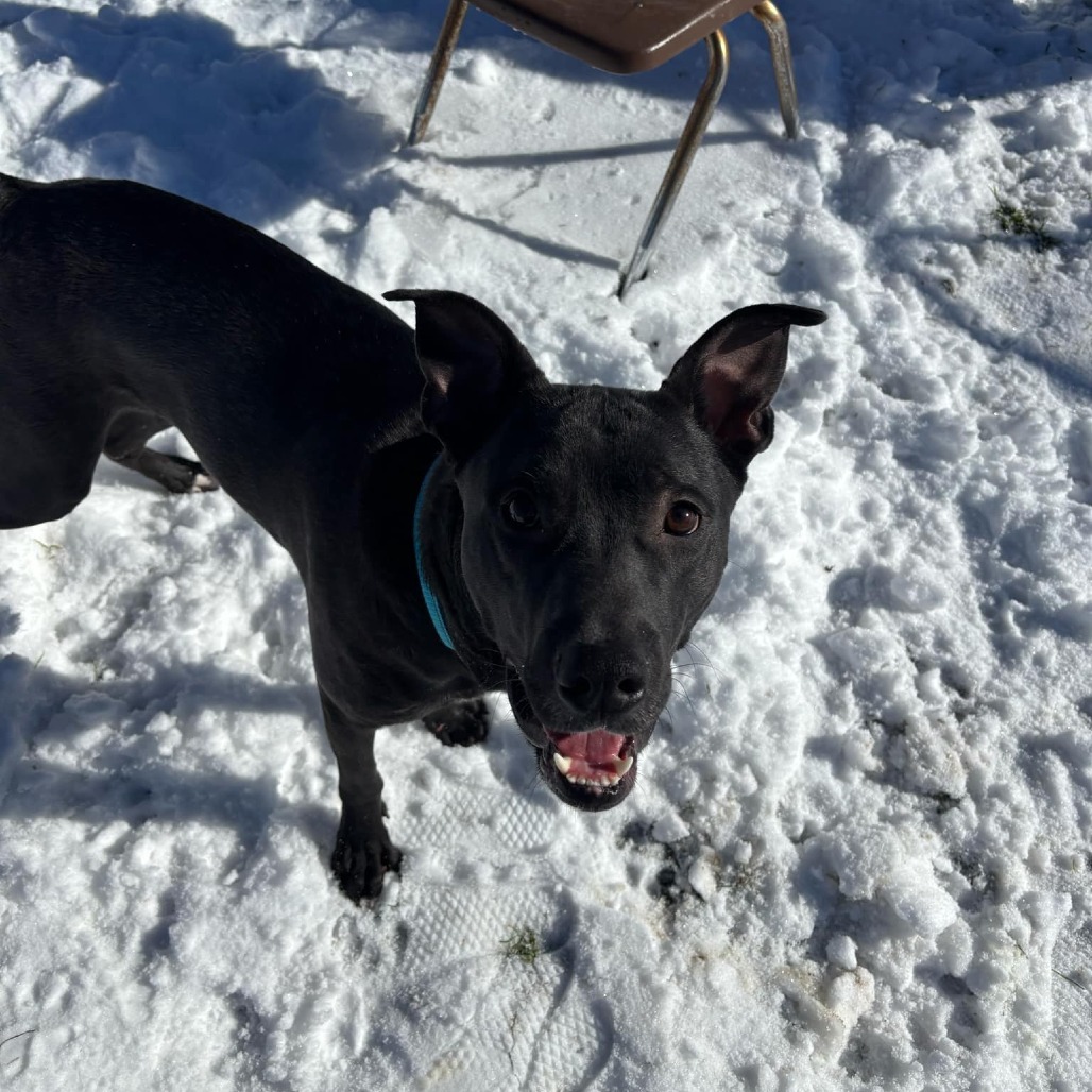 Sam