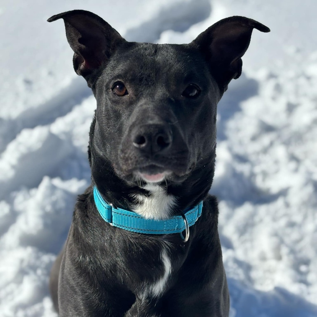 Sam