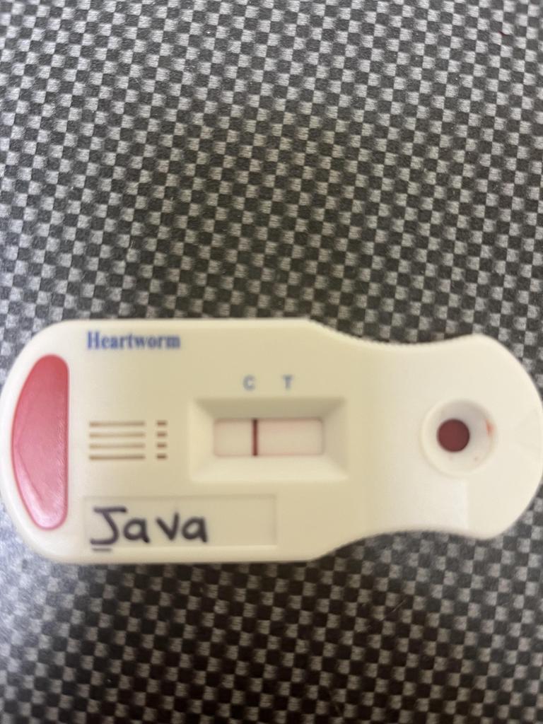 Java