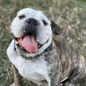 Minnie Pearl, Senior Female unknown