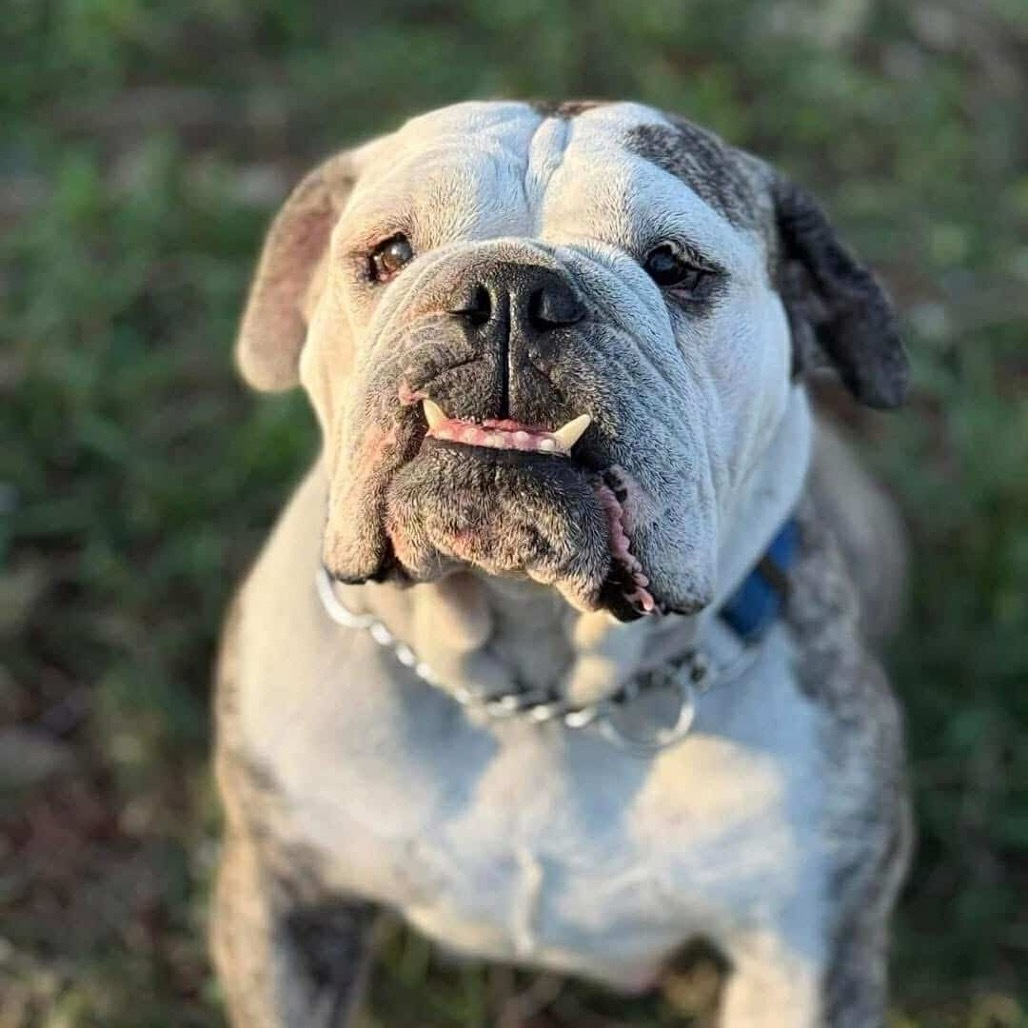 Minnie Pearl