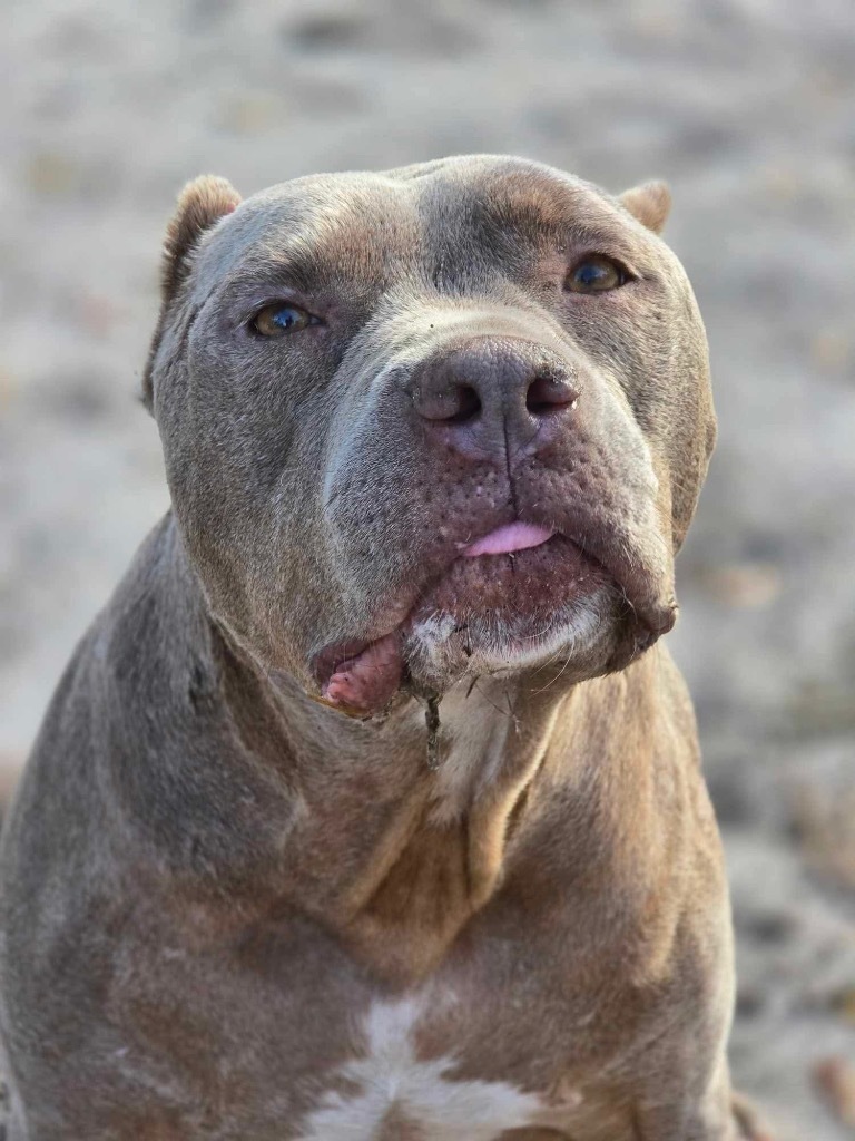 Maybelle