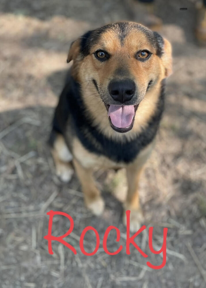 Rocky