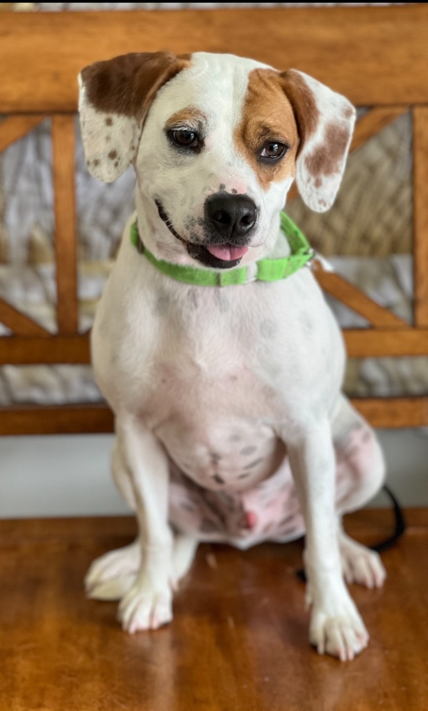 Sampson