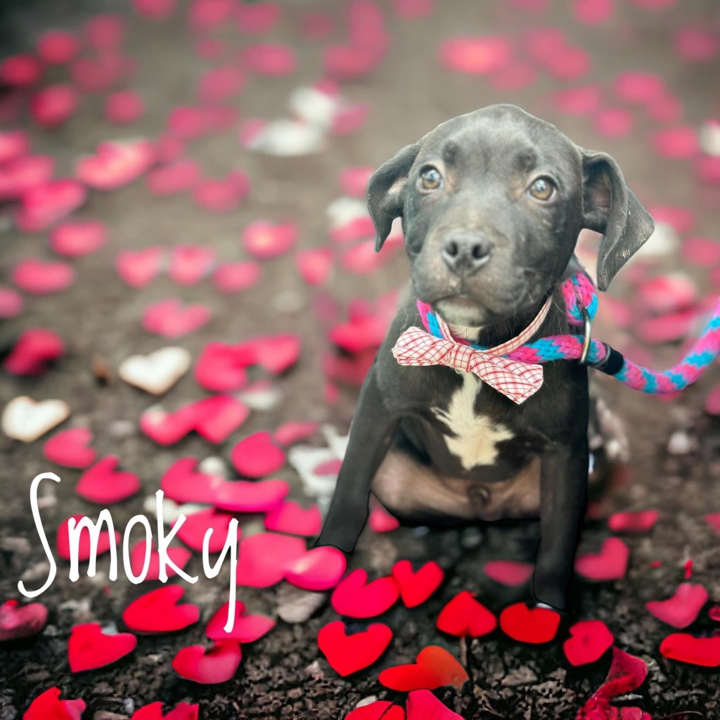 Smoky