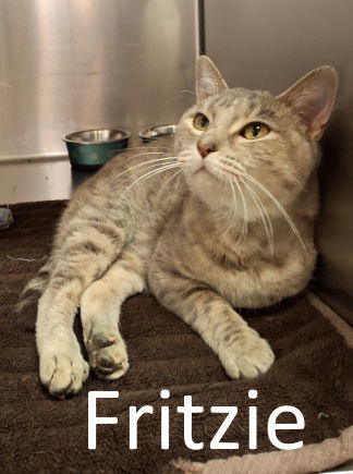 Fritzie