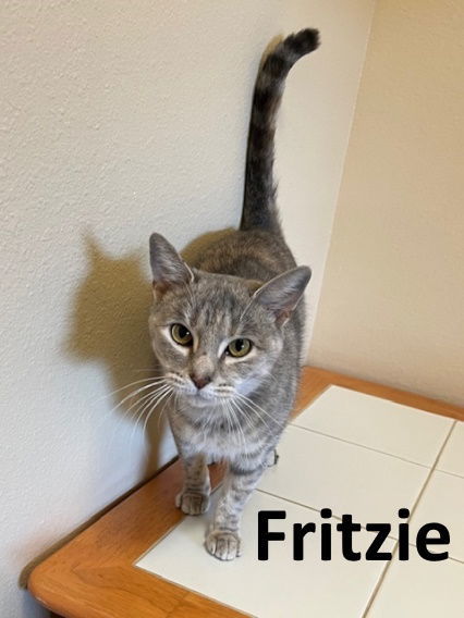 Fritzie