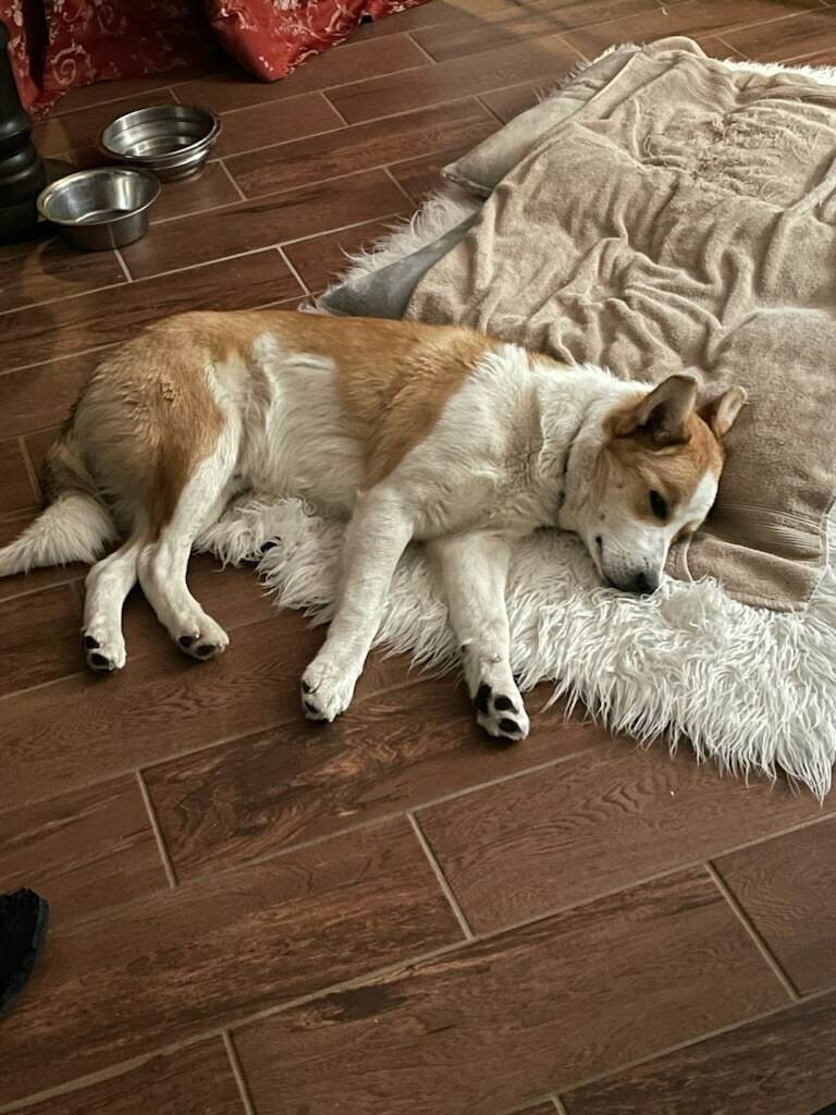 Ernie